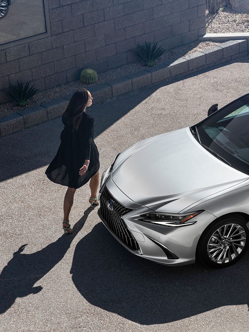 es lexus brave new look