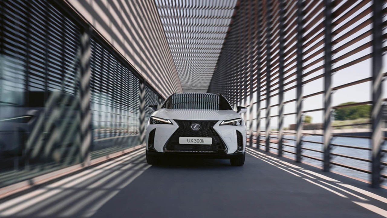 Lexus UX 300h white, from the front